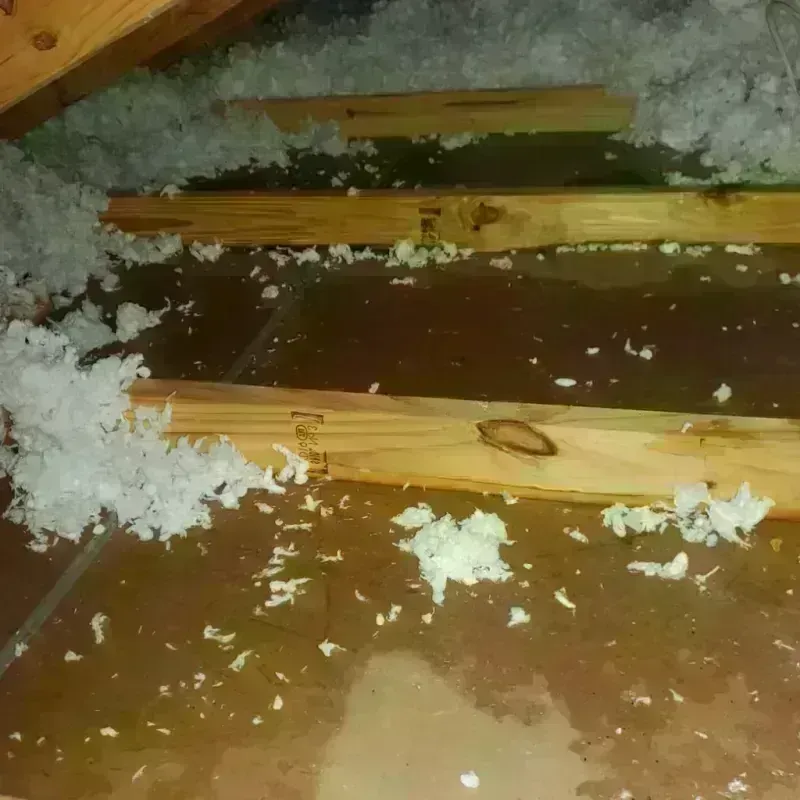 Attic Water Damage in New Haven, WV