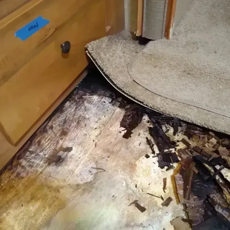 Wood Floor Water Damage in New Haven, WV